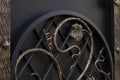 Forged ornate elements of metal doors