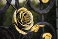 Forged rose, decorating a metal gate Royalty Free Stock Photo