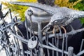 Forged sculpture of a raven with a coin on the fence