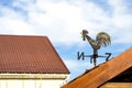 weather vane rooster. A forged weather vane on the roof of a private house indicates the direction of the wind Royalty Free Stock Photo