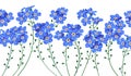 Botanical background with blue forget-me-not flowers. Royalty Free Stock Photo