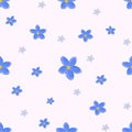 Forget-me-not Royalty Free Stock Photo