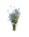 Forget-me-not blue flowers bouquet