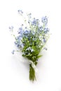 Forget-me-not blue forest flowers bouquet Royalty Free Stock Photo