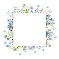 Forget-me-not blue forest flowers - nature square background Royalty Free Stock Photo