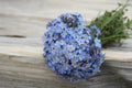 Forget-me-not bouquet Royalty Free Stock Photo