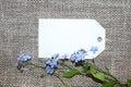 The forget-me-not branch on a blank card