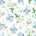 Forget-me-not and field flowers watercolor seamless vector print