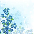 Forget-me-not flower background