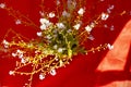 Forget-me-not flower macro with bright green leaves .Blue flowers on a red linen background. Blooming flowers nature Royalty Free Stock Photo