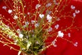 Forget-me-not flower macro with bright green leaves .Blue flowers on a red linen background. Blooming flowers nature Royalty Free Stock Photo