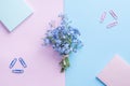 Forget me not flowers bouquet on blue and pink pastel background Flat lay