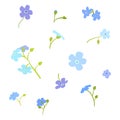 Forget-me-not flowers vector set illustration isolated on white background.Set of flowers for design.Flowers postcard.