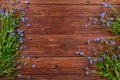 Forget-me-not flowers on wooden background, copy space Royalty Free Stock Photo