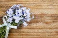 Forget-me-not flowers on wooden background Royalty Free Stock Photo
