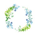 Forget-me-not And Herb Watercolor Round Vector Frame