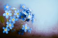 Forget Me Not Horizontal