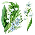 Forget me not and lily of the valley floral botanical flowers. Watercolor background illustration set.