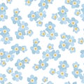 Forget-me-not myosotis blue spring flowers pattern