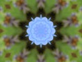 Forget Me Not Plant, Digital Artwork Pattern