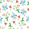 Forget-me-not and red flowers watercolor seamless vector print