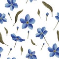 Forget-me-not seamless pattern; watercolor blue flowers seamlles