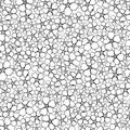 Forget me not wild little flower black and white seamless pattern for coloring page. Hand drawn floral vector spring Royalty Free Stock Photo