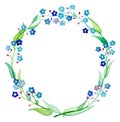 Forget-Me-Not wreath watercolor illustration. Spring flower Forgetmenot with petals and leaves. Royalty Free Stock Photo