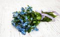 Forget-me-nots flowers