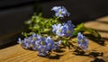 Forgetmenot flowers in heart shape