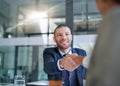 Forging profitable connections. two businessmen shaking hands in a modern office.