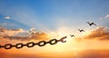 Silhouette of bird flying and broken chains at sunset background Royalty Free Stock Photo