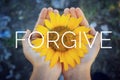 Forgiveness concept. Single word, text message on a sunflower blossom in hand - FORGIVE. Forgiving inspirational quote in hands. Royalty Free Stock Photo