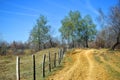 Forgoten country road with barbed wire fence in a beautiful sunny spring day Royalty Free Stock Photo