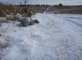 Forgotten, lost toy gray teddy bear outdoors in winter