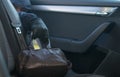 Forgotten bag in the back seat, stolen by hand, black glove