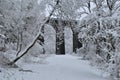 Forgotten bridge in Pontsarn