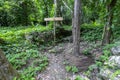 A forgotten cable reel is adapted by nature, Cuba