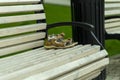 Forgotten children`s shoes on a park bench