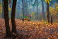 Forgotten children`s swing on the background of an autumn park