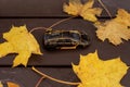 Forgotten children`s toy lost car on a bench in the middle of autumn leaves. Autumn seasonal color concept