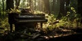 Forgotten, dilapidated piano in an overgrown, sunlit forest , concept of Abandoned Royalty Free Stock Photo