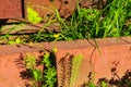 Forgotten dump of metal in the grass