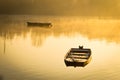 A forgotten fishing boat in the tributary of the Danube Royalty Free Stock Photo