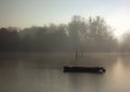 A forgotten fishing boat in the tributary of the Danube Royalty Free Stock Photo