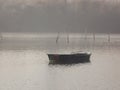 A forgotten fishing boat in the tributary of the Danube Royalty Free Stock Photo