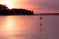 Forgotten fishing buoy frozen at a lake with ice