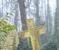 Forgotten grave stones, london