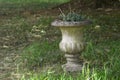 Forgotten grave vase. Royalty Free Stock Photo
