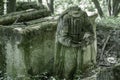 Forgotten old abandoned cemetery in the woods. Broken grave monuments